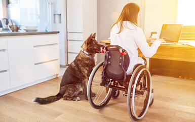 Behinderte Frau im Rollstuhl mit Assistenzhund am Computer - obrazy, fototapety, plakaty