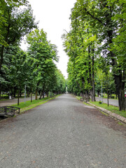 Fototapeta na wymiar Green park in Cluj-Napoca, Romania