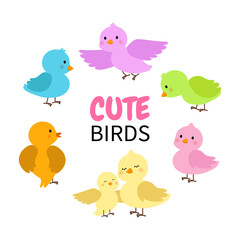 Cute colorful birds collection. Flat vector cartoon design