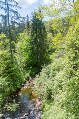 Fototapeta premium Czarna Wiselka - the source stream of the Vistula River.