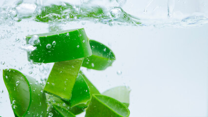 Aloe vera falls in the water.