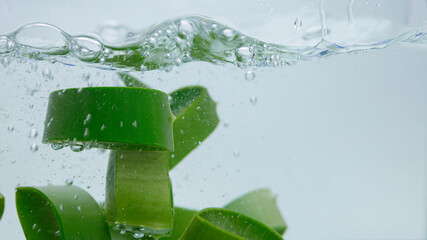 Aloe vera falls in the water.