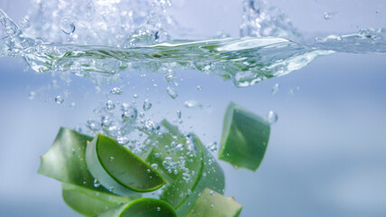 Aloe vera falls in the water.