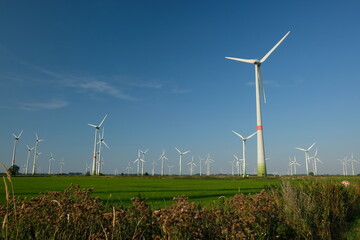 FU 2020-08-11 Fries T2 1312 Auf der Wiese stehen viele Windräder