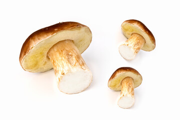 White mushroom on a white background. Edible mushrooms. Isolate. Soft focus. Photo