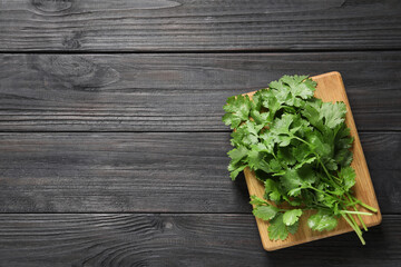 Bunch of fresh green cilantro and board on black wooden table, top view. Space for text