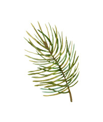 Set of watercolor pine branches and berries isolated on a white background. Winter clipart.