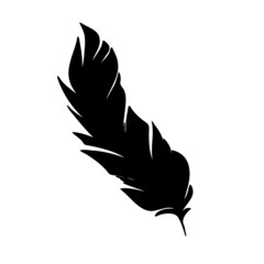 Feather of birds. Black feather silhouette for logo vector set