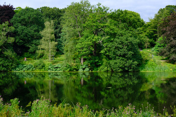 Beautiful landscape of trees foliage and the Fish Pond  in the area of the Harewood House Trust in West Yorkshire in the United Kingdom
