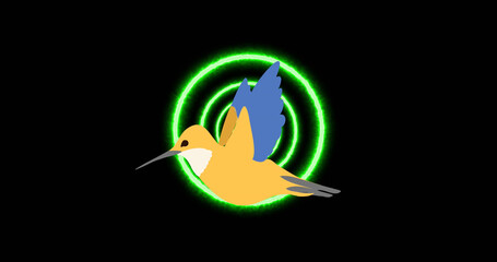 Image of bird over neon circles on black background