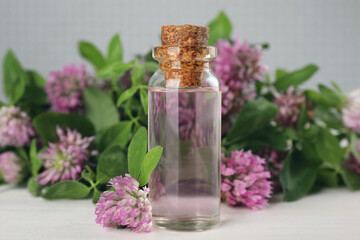 Fototapeta na wymiar Beautiful clover flowers and bottle of essential oil on white wooden table
