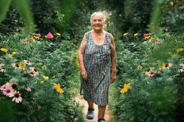 Portrait of a very old woman walking in her garden  with flowers in summer. Grandparents day....