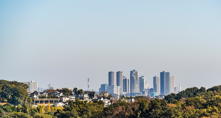 Obraz premium 生田緑地から見た武蔵小杉駅のビル群【神奈川県・川崎市】
