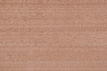 Okume Exotic wood panel texture pattern