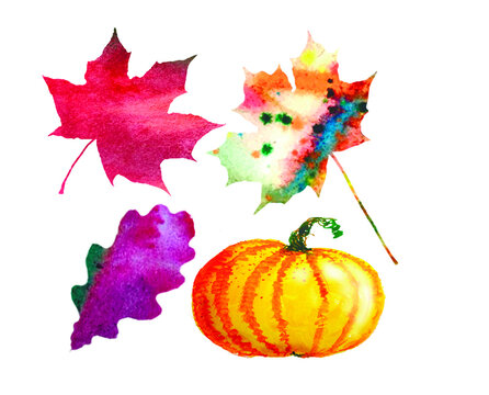 Autumn leaves and pumpkin