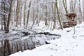 River in winter landscape