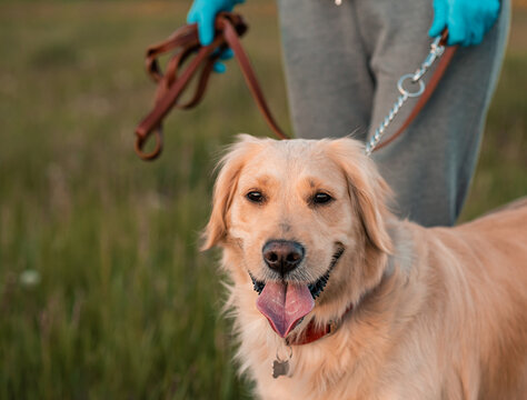 Young curly woman with her dog walking on fresh air outdoors
