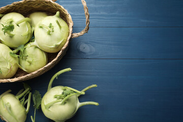 Whole kohlrabi plants on blue wooden table, flat lay. Space for text - obrazy, fototapety, plakaty
