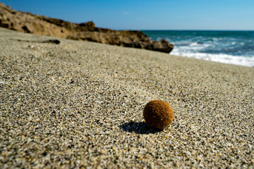 Korsika Naturstrand 5