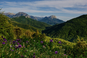 a mountain range covered with greenery