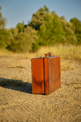 an old vintage suitcase on the ground