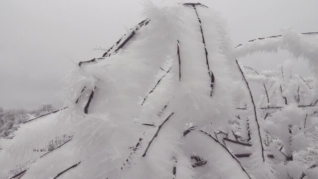 Snow flowers. Fantastically beautiful white frost, like flowers from the Snow Queen Kingdom (Andersen's fairy tale)