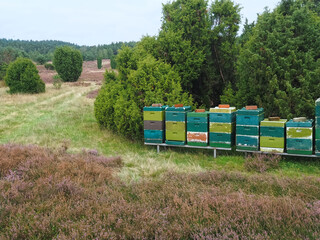 Colorful beehives with flying honey bees