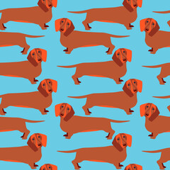 seamless pattern with the image of a dog, a dachshund. 