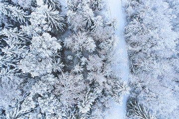 Winter forest pattern from above. Nice landscape in February