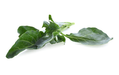 Fototapeta premium Fresh green kale leaves isolated on white background.