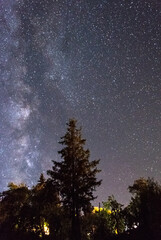 Sky with stars and trees