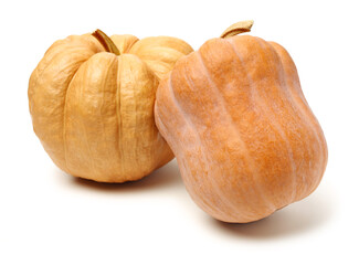 Orange pumpkin on white background 