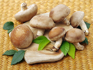 Shiitake mushrooms on the wooden background.
