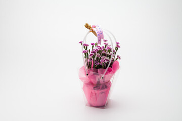  Pink and bright red carnation in a vase