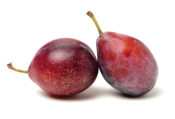 Plums plum prunes prune fresh fruit on white background