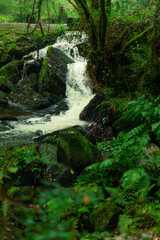 Cascada en un bosque del norte de España