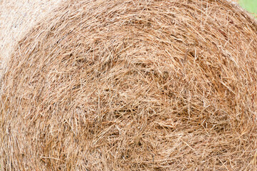 Hay bales, Somerset, England