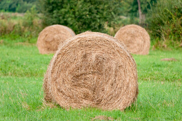 Hay bales, Somerset, England