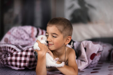 The child plays with a cat in bed in the bedroom. The child holds a white kitten with black spots. Little boy with cute pet at home.