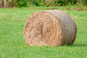 Hay bales, Somerset, England