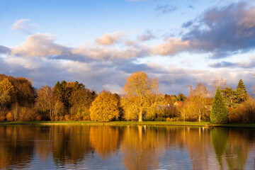 Fototapeta na wymiar Small lake surrounded by forest with colorful trees at autumn cloudy day in Belgium. Panorama of a gorgeous park in autumn, a scenic landscape with pleasant warm sunshine. Trees reflections in water.