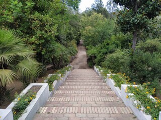 Garden in Ischia Island in Naples, Italy