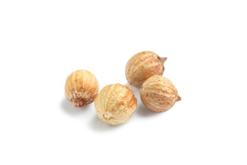 Scattered dried coriander seeds on white background