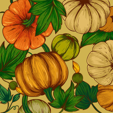 Modern rustic closeup of autumn yellow pumpkin. Light background. Vector isolated illustration. Vintage print. Decorative print. Trendy art. Organic vegetable. Line art.