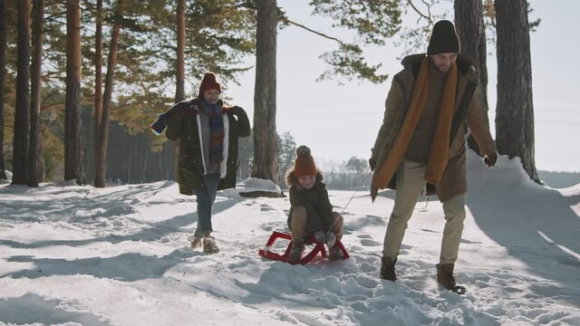 Slowmo tracking shot of happy man pulling sled with laughing little girl and running in snow while cheerful woman following them and smiling. Family of three enjoying winter day in forest