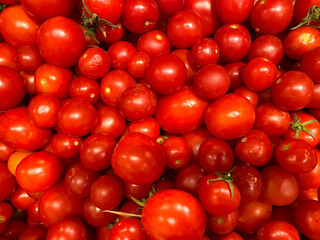 background from tomatoes. A group of tomatoes.