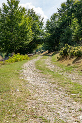 Fototapeta premium Peaceful mountain landscape. Albanian nature