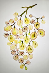 Bunch Of Grapes Slices Of  Grape With Seeds In A Cut