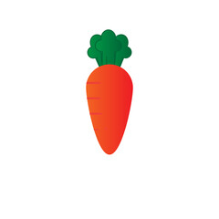 Carrot isolated on white background Premium Vector