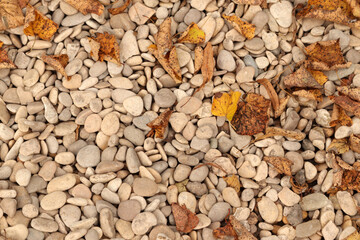 autumn leaves and stones background
